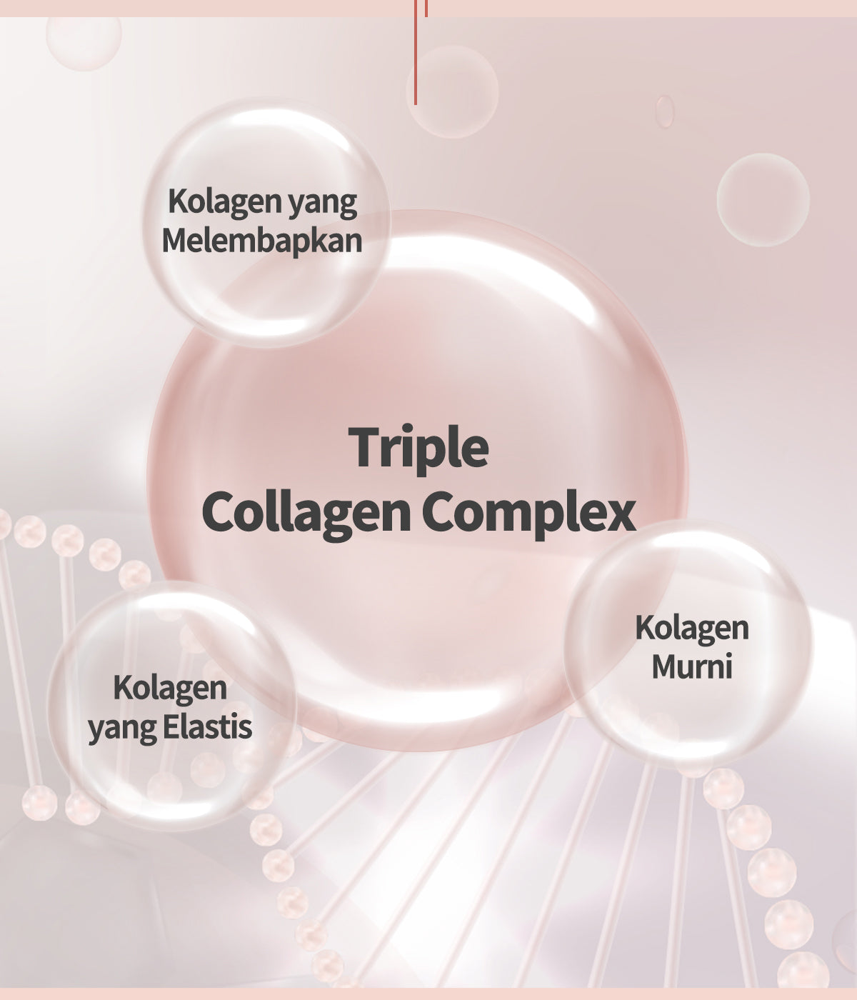 MEDICUBE Triple Collagen Essential Toner 3.0 (140ml)